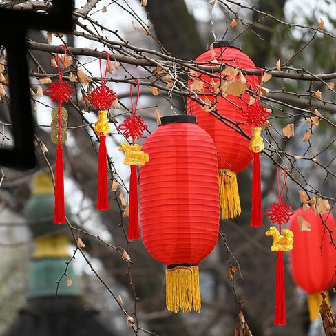 24 Pieces Lunar New Year Tassels Chinese Knot Tassel Chinese New Year Dragon Tassel Ornaments Chinese New Year Feng Shui Tassel Decorations for Home Decoration (Dragon B) in Kuwait