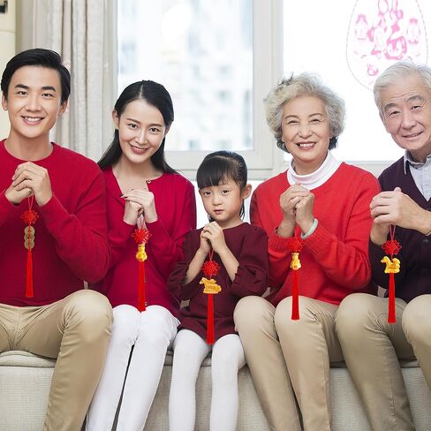 24 Pieces Lunar New Year Tassels Chinese Knot Tassel Chinese New Year Dragon Tassel Ornaments Chinese New Year Feng Shui Tassel Decorations for Home Decoration (Dragon B) in Kuwait