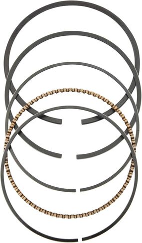 Red Hawk ENG-193 Piston Assembly Compatible with/Replacement for Club Car DS and Precedent 1992 and Newer 101645901 Golf Carts in Saudi Arabia