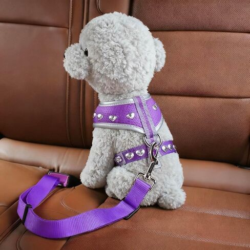 for Dog Owners – Adjustable Pet Seat Belt, Secure Buckle for Car Travel - Purple in Saudi Arabia