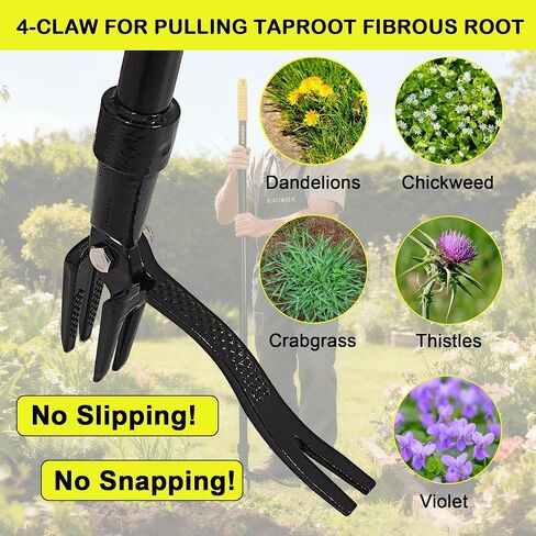 أداة سحب الأعشاب الضارة مقاس 55 بوصة، تصميم رأس فولاذي بأربعة مخالب، مقبض طويل للهندباء وعشب الكابوريا in Kuwait