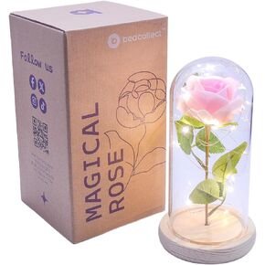 Beauty and The Beast Rose Decor Gift - Ideal for Bookshelf Home Library - Flower in Glass Dome, Light Up Rose Lamp - Beauty and The Beast Gifts, Beauty and The Beast Decor, Party Decorations (Pink)