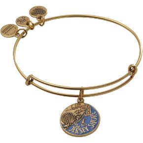 Alex and Ani A18EBJSRG,Jersey Shore Expandable Bangle Bracelet,Rafaelian Gold,Gold/Blue, Bracelet