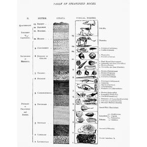 Geology Time Chart Na Late 19Th Century Classification Of The Geological Strata In Time Sequence Along With Typical Fossils Found In Each Period Poster Print by (24 x 36)