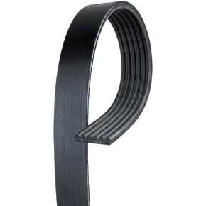 Gates K061031 Ribbed V-Belt