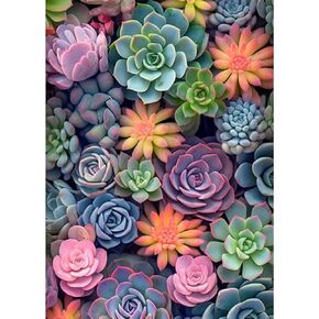 Ycydilirab Succulent Paint by Numbers Kits for Adults Beginners-Succulent Plant Paint by Number for Adults,Easy Canvas Paint by Numbers for Adults for Home Wall Decoration and Gifts 16X20 inch