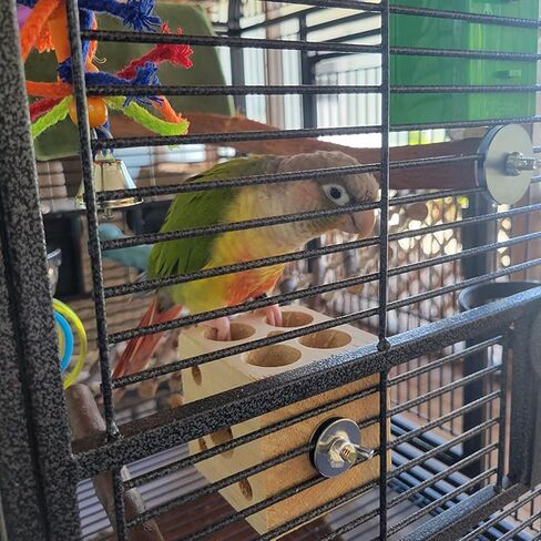 QBLEEV Bird Wooden Block Chewing Toy, Parrot Toys Tabletop Puzzle Bird Foraging Toys, Small Animals Shredding Biting Wood Teething Parakeets Toys, Bird Cage Toys for Hamster Cockatiels Conures Budgie in Kuwait