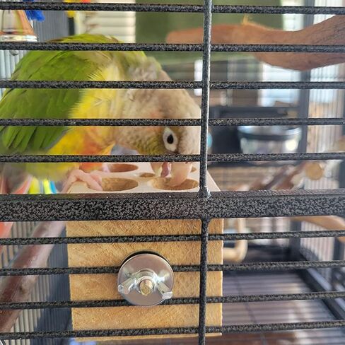 QBLEEV Bird Wooden Block Chewing Toy, Parrot Toys Tabletop Puzzle Bird Foraging Toys, Small Animals Shredding Biting Wood Teething Parakeets Toys, Bird Cage Toys for Hamster Cockatiels Conures Budgie in Kuwait
