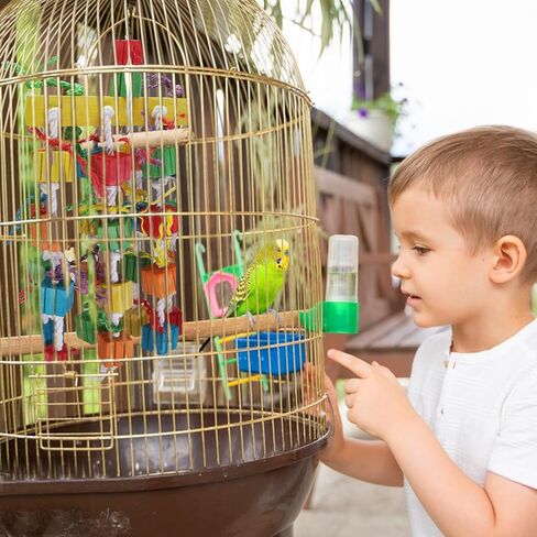Parrot Toys, Bird Chewing Toy of Natural Multi-Colored Wooden Blocks, Cage Bite Toy Suits for African Grey Cockatoos Amazon Parrots Ect Large Medium Parrot Birds in Kuwait