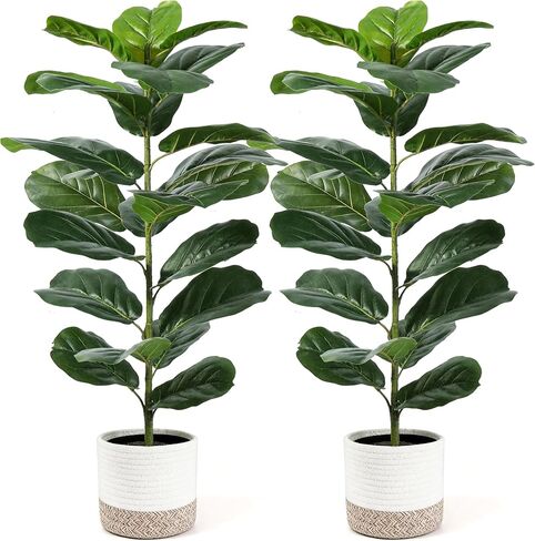 Der Rose 2 Pack 30" Artificial Fiddle Leaf Fig Tree with Warm LED Lights – Battery Powered, Mid-Size Fake Plants for Living Room, Bedroom, Entryway & Home Decor in Saudi Arabia