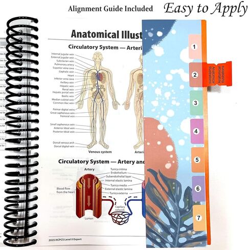 علامات تبويب الكتب لإصدار HCPCS Level II Expert 2026/2025 (AAPC)، و72 علامة تبويب كتب مرمزة بالألوان مع دليل المحاذاة وعلامات تبويب متينة وفارغة مغلفة (الكتاب غير متضمن) in Kuwait