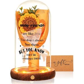 هدايا الصداقة للنساء - "الأصدقاء الجيدون مثل النجوم" هدايا عيد ميلاد فريدة من نوعها لأفضل صديق للنساء والأصدقاء Bestie BFF Coworker، هدية عيد الحب لها، جرة الصداقة الخفيفة لديكور الطاولة الليلية in Kuwait