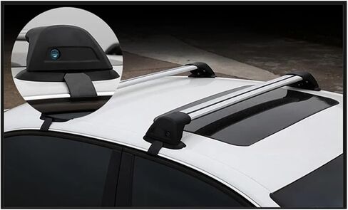 2 Pcs Compatible for BMW 3 Series E46 4 Door Sedan 1999-2004 (Fixed Point) Aluminum Alloy Belt Lock Rack(A-Silver) in Saudi Arabia