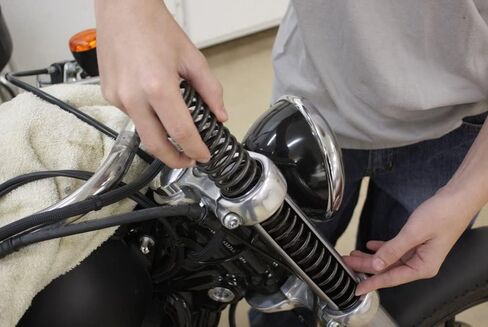 Progressive Suspension 10-2003 Drop in Fork LWRNG KIT in Saudi Arabia