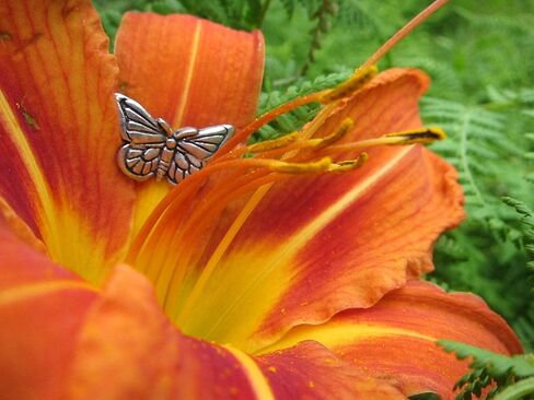 Jim Clift Design Butterfly Lapel Pin in Saudi Arabia