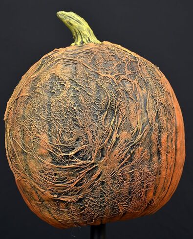 Trick Or Treat Studios King Pumpkin Full Overhead Costume Mask Adult in Saudi Arabia