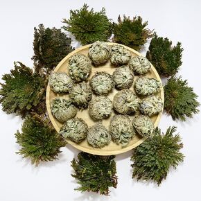 11 Pack Rose of Jericho Resurrection Plants, 1–2 Inch Rosa de Jerico Original, Unfolds in Water, Dried Fern Prayer Plants for Spiritual Purification, Home Decor , Gift for Plant Lovers in Saudi Arabia