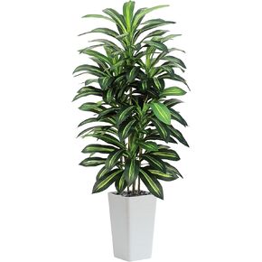 Artifical Dracaena Tree Indoor, 5FT Tall Fake Floor Plants with White Planter, Fuax Silk Yucca Tree for Home Office Living Room Bedroom Farmhouse Modern Outdoor Topiary Tree in Kuwait