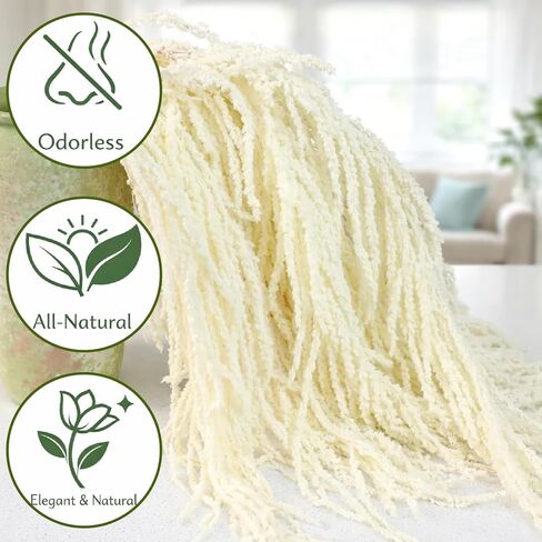 5 قطع من نبات القطيفة الأبيض الطبيعي المجفف، زهور الوستارية المجففة المعلقة مقاس 20-25 بوصة لقوس الزفاف، القطع المركزية، ديكور الحائط، حشو المزهرية، ديكور المنزل in Kuwait