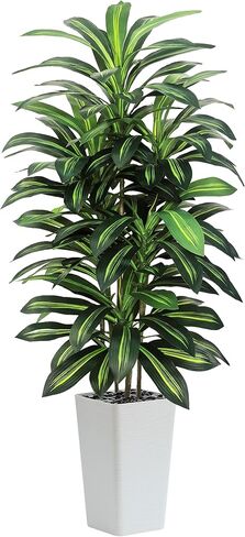 Artifical Dracaena Tree Indoor, 5FT Tall Fake Floor Plants with White Planter, Fuax Silk Yucca Tree for Home Office Living Room Bedroom Farmhouse Modern Outdoor Topiary Tree in Kuwait