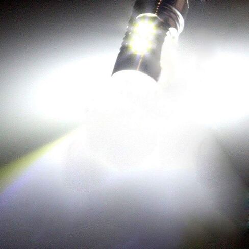 مصابيح الضباب GTP شديدة السطوع H1 LED 100W 1600lm طاقة عالية 6000K زينون أبيض 360 درجة شعاع DRL ضوء الجري النهاري أو أضواء القيادة الضبابية in Kuwait