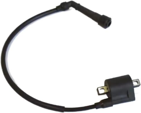 Ignition Coil Relay Ignitor 250CC Compatible with Automotive Motorcycle Parts XY250GY SHINERAY X2 X2X Dirt Bike Box Voltage Regulator Rectifier(CDI Unit) in Saudi Arabia