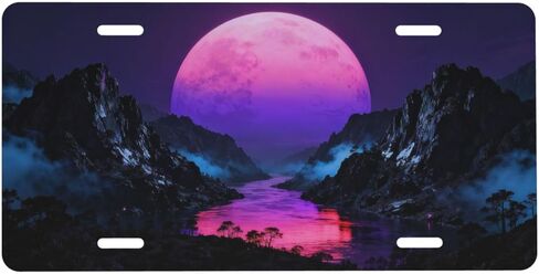 Raven Trees Leaves Moon Fairy Lights Front License Plate for Women Car Vanity Plates Decorative Aluminum Metal Cute Novelty License Plate Cover for Men 6x12 Inch (4 Holes) in Saudi Arabia