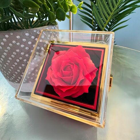 Collar Para Mi Esposa o Novia, El Amor De Mi Vida, Joyería Con Tarjeta y Rosa De Mensaje En Español, Regalo Romántico Para Novia, Esposa, Pareja, Mujer Especial in Saudi Arabia