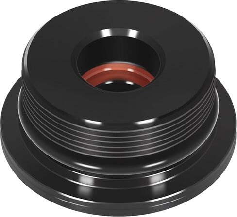 Screw End with Seals Tilt and Trim Fits for 115-250HP Honda/Suzuki/Yamaha 2 & 4 Stroke Engines, 64E-43821-01-00 FSM023 48630-96J00 Outboard Power Trim Cap Cylinder End Screw with Seal & O-Ring in Saudi Arabia