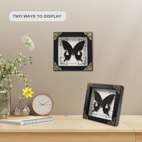 Real Framed Butterfly Taxidermy Butterfly, Butterfly Specimen Display with Wooden Frame, Butterfly Shadow Box Display Wall Hanging Art Decor ( Broadband Phoenix Butterfly ) in Saudi Arabia