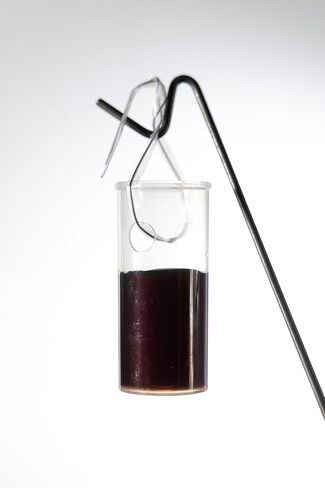 بريداتور بي - موزعات لمدة 33 يومًا - عبوة من 10 قطع، زجاجة شفافة، زجاجة ضغط 355 مل in Kuwait