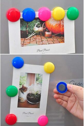 80 Pack Round Plastic Covered Magnetic Buttons,20 mm Notice Board Planning Magnets for Home Schools Offices in Saudi Arabia