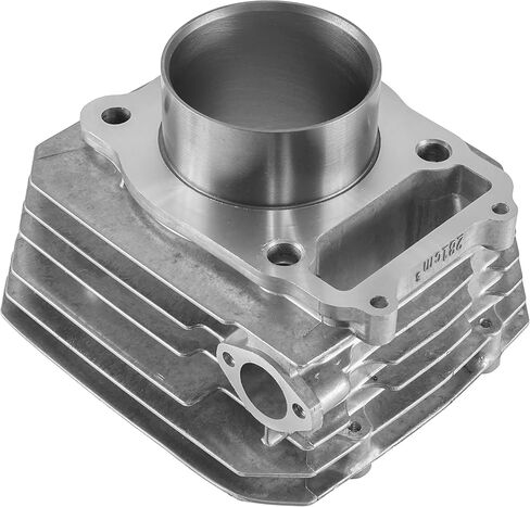 Caltric Cylinder Compatible with Honda TRX300FW Fourtrax 300 4x4 1988 1989 1990-2000 Cylinder (74 mm Bore) in Saudi Arabia