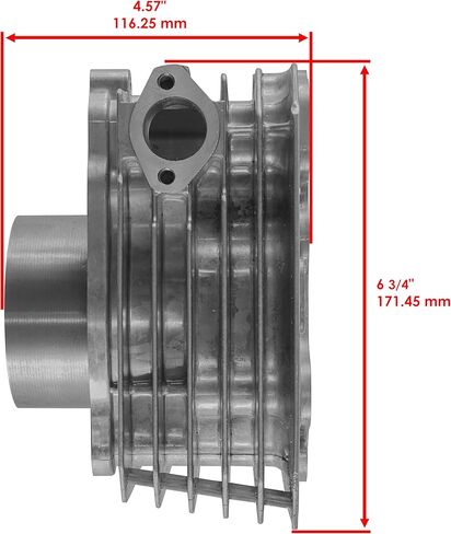Caltric Cylinder Compatible with Honda TRX300FW Fourtrax 300 4x4 1988 1989 1990-2000 Cylinder (74 mm Bore) in Saudi Arabia