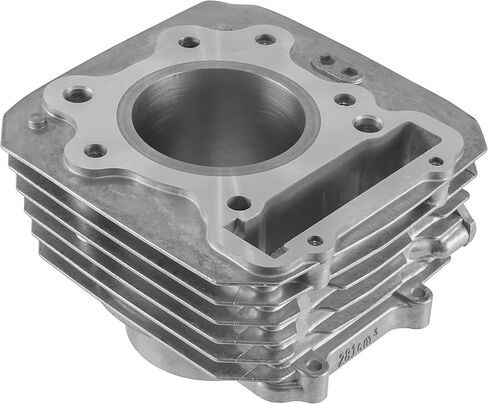 Caltric Cylinder Compatible with Honda TRX300FW Fourtrax 300 4x4 1988 1989 1990-2000 Cylinder (74 mm Bore) in Saudi Arabia