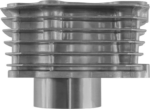 Caltric Cylinder Compatible with Honda TRX300FW Fourtrax 300 4x4 1988 1989 1990-2000 Cylinder (74 mm Bore) in Saudi Arabia