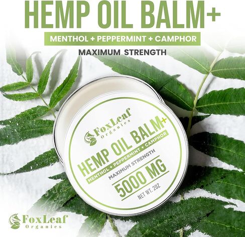 بلسم زيت القنب العضوي من فوكسليف للعضلات والمفاصل والظهر والركبتين والرقبة والأصابع والمرفقين مع خلاصة الأرنيكا والكافور والمنثول والنعناع - صنع في الولايات المتحدة الأمريكية 2 أونصة in Kuwait