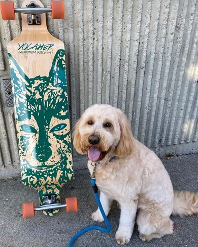 Yocaher Spirit Wolf Longboard Complete Skateboard Cruiser - متوفر بجميع الأشكال in Kuwait