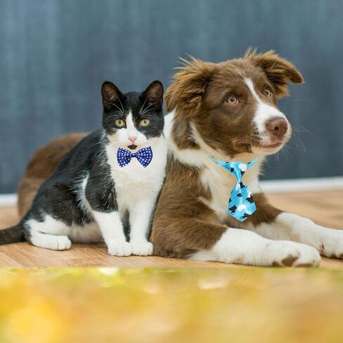 30 قطعة من ربطات عنق الكلب وربطات عنق قابلة للتعديل من yuepet، مجموعة متنوعة من ربطات عنق الحيوانات الأليفة المتنوعة، زي ربطة العنق، طوق مستلزمات العناية بالحيوانات الأليفة للجرو، الكلب، القط، عيد الميلاد، التصوير الفوتوغرافي، مهرجان العطلات، حفلة in Kuwait