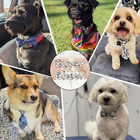 30 قطعة من ربطات عنق الكلب وربطات عنق قابلة للتعديل من yuepet، مجموعة متنوعة من ربطات عنق الحيوانات الأليفة المتنوعة، زي ربطة العنق، طوق مستلزمات العناية بالحيوانات الأليفة للجرو، الكلب، القط، عيد الميلاد، التصوير الفوتوغرافي، مهرجان العطلات، حفلة in Kuwait