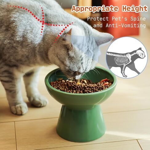 SUNQEBO Elevated Cat Bowls, Ceramic Raised Cat Bowl for Food and Water, Tilted Small Dogs and Puppy Bowl Backflow Prevention and Protect Pet's Spines, Artistic Unique Shape (2 Pack, White) in Saudi Arabia