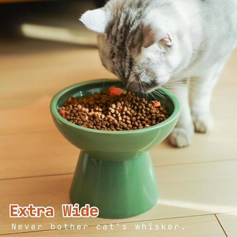 SUNQEBO Elevated Cat Bowls, Ceramic Raised Cat Bowl for Food and Water, Tilted Small Dogs and Puppy Bowl Backflow Prevention and Protect Pet's Spines, Artistic Unique Shape (2 Pack, White) in Saudi Arabia