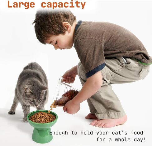 SUNQEBO Elevated Cat Bowls, Ceramic Raised Cat Bowl for Food and Water, Tilted Small Dogs and Puppy Bowl Backflow Prevention and Protect Pet's Spines, Artistic Unique Shape (2 Pack, White) in Saudi Arabia