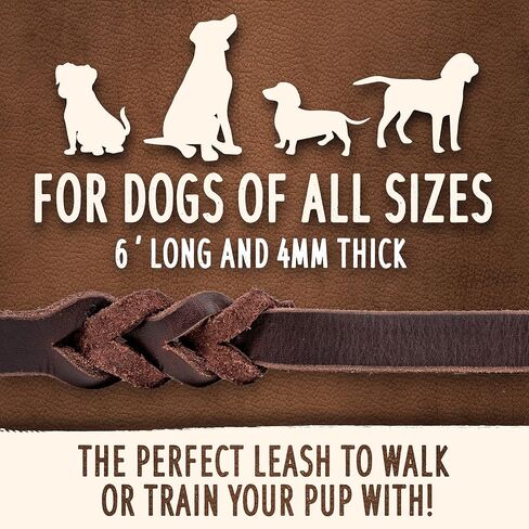 مقود جلدي مجدول للكلاب من مايتي باو - مقود أصلي عالي التحمل للحيوانات الأليفة - مقبض ناعم - مشبك دوار معدني قوي - مقود جلدي مضفر للكلاب الكبيرة - مقاود جلدية للكلاب - مقاس 6 بوصات قياسي/بني in Kuwait