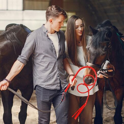 AMIJOUX جلد صناعي سوط زي سوط مصنوع يدويًا، جلد PU أحمر للفروسية، سوط ركوب الخيل مع مقبض ناعم لأداء المسرح، إكسسوارات أزياء تنكرية in Kuwait