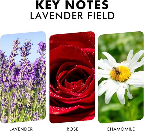 مجموعة ناشر القصب، ناشر زيت حقل اللافندر مع العصي، ناشر عطر منزلي طويل الأمد لديكور مكتب رف الحمام، معطرات هواء فاخرة 3.7 أونصة (110 مل) in Kuwait