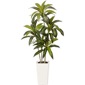 شجرة دراكاينا الاصطناعية بطول 5 أقدام - نبات داخلي طويل القامة مع نبات، نبات صناعي كبير لغرفة المعيشة والمكتب وغرفة النوم وديكور المنزل in Kuwait