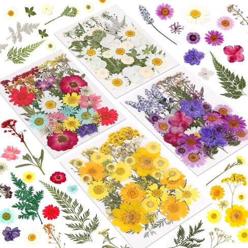 Botanical Pressed Flower Set – Real Dried Flowers & Leaves for Resin Art, Scrapbooking, Candle Making, and DIY Nature Crafts in Saudi Arabia