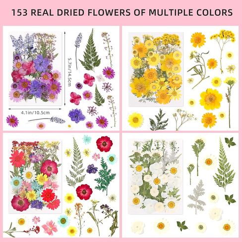 Botanical Pressed Flower Set – Real Dried Flowers & Leaves for Resin Art, Scrapbooking, Candle Making, and DIY Nature Crafts in Saudi Arabia