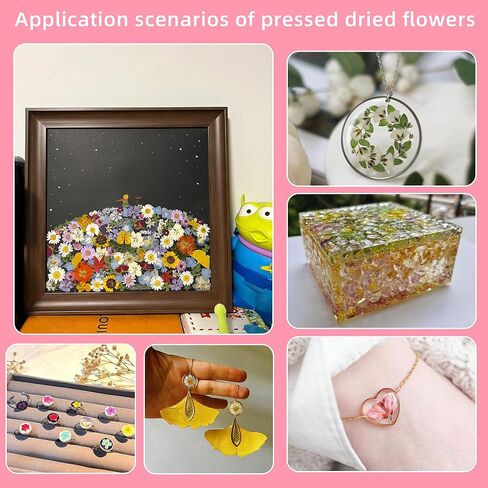 Botanical Pressed Flower Set – Real Dried Flowers & Leaves for Resin Art, Scrapbooking, Candle Making, and DIY Nature Crafts in Saudi Arabia